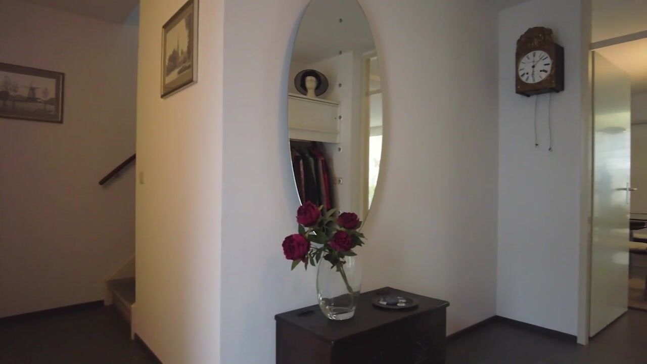 Video van Langenboomstraat 5