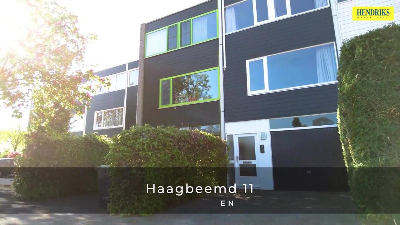 Video of Haagbeemd 11