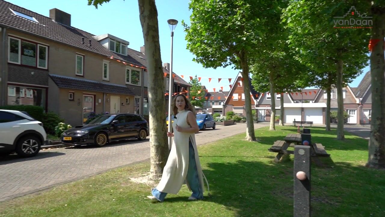 Video of IJsvogel 18