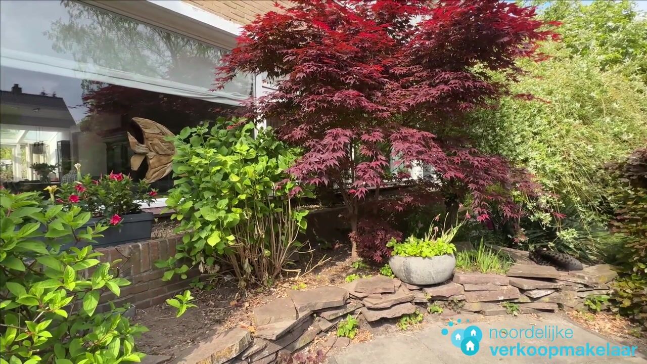 Video van Cort van der Lindenlaan 2