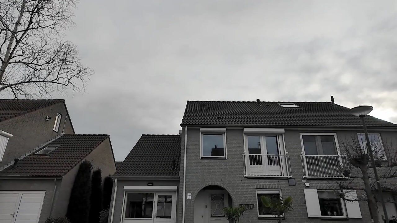 Video of Bieslook 63