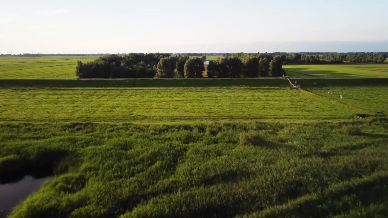 Video van Wieldyk 10