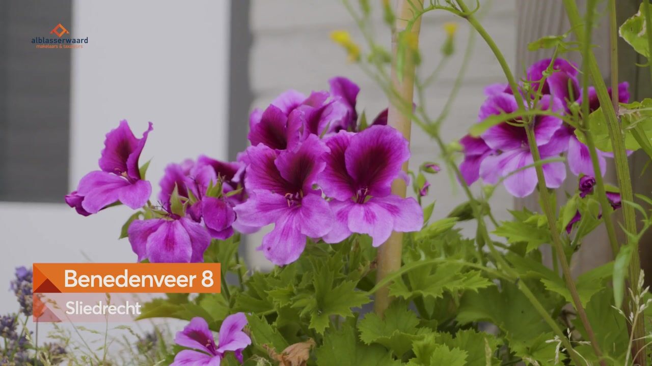 Video van Benedenveer 8