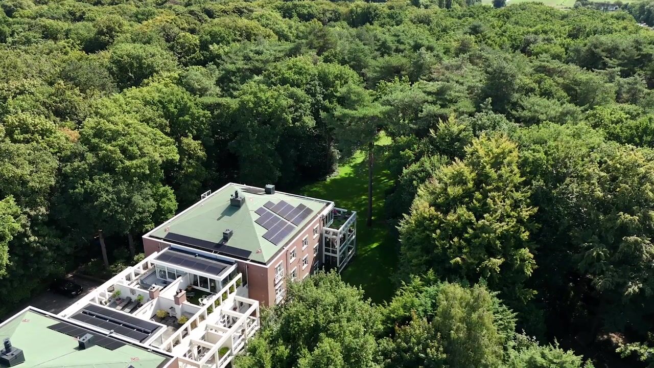 Video van Laan van Pluymestein 22