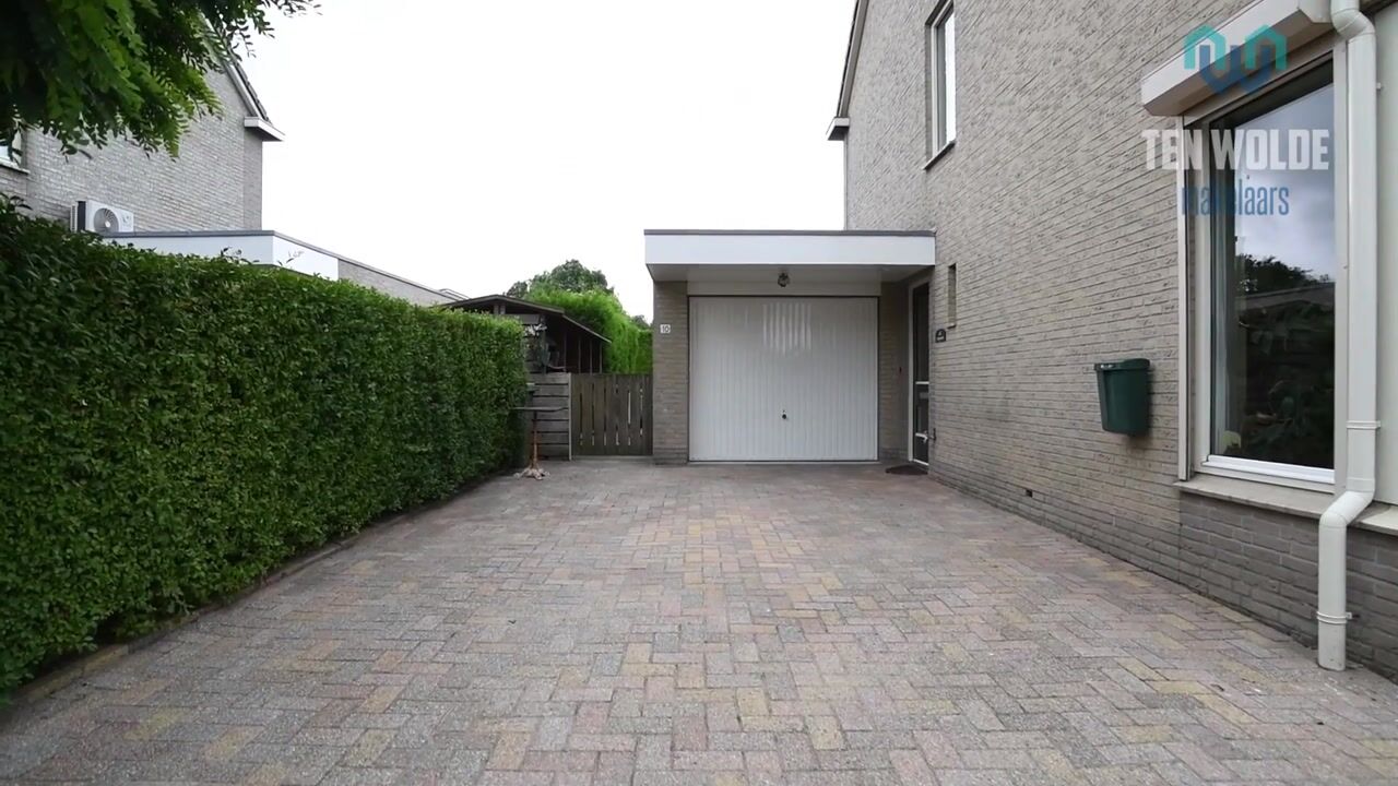 Video van Grijskopspecht 10