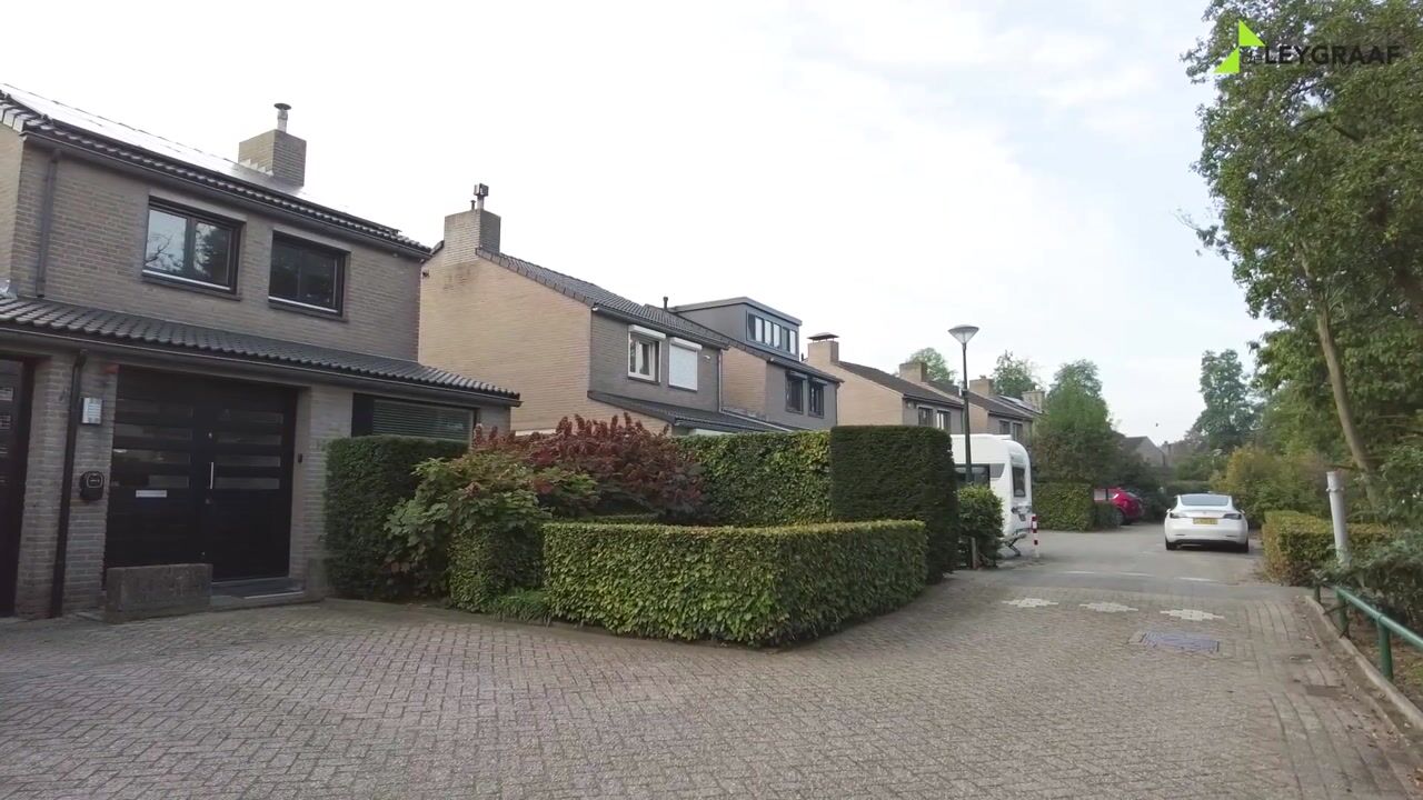 Video van Plantsoen 13