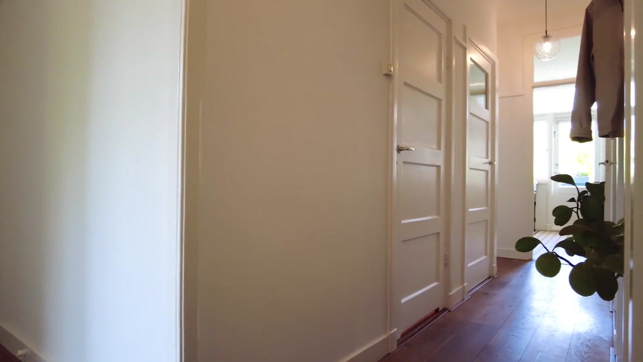 Video van Abrikozenstraat 41