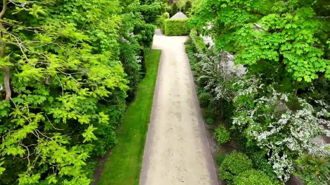 Video van Kruislaan 1-A