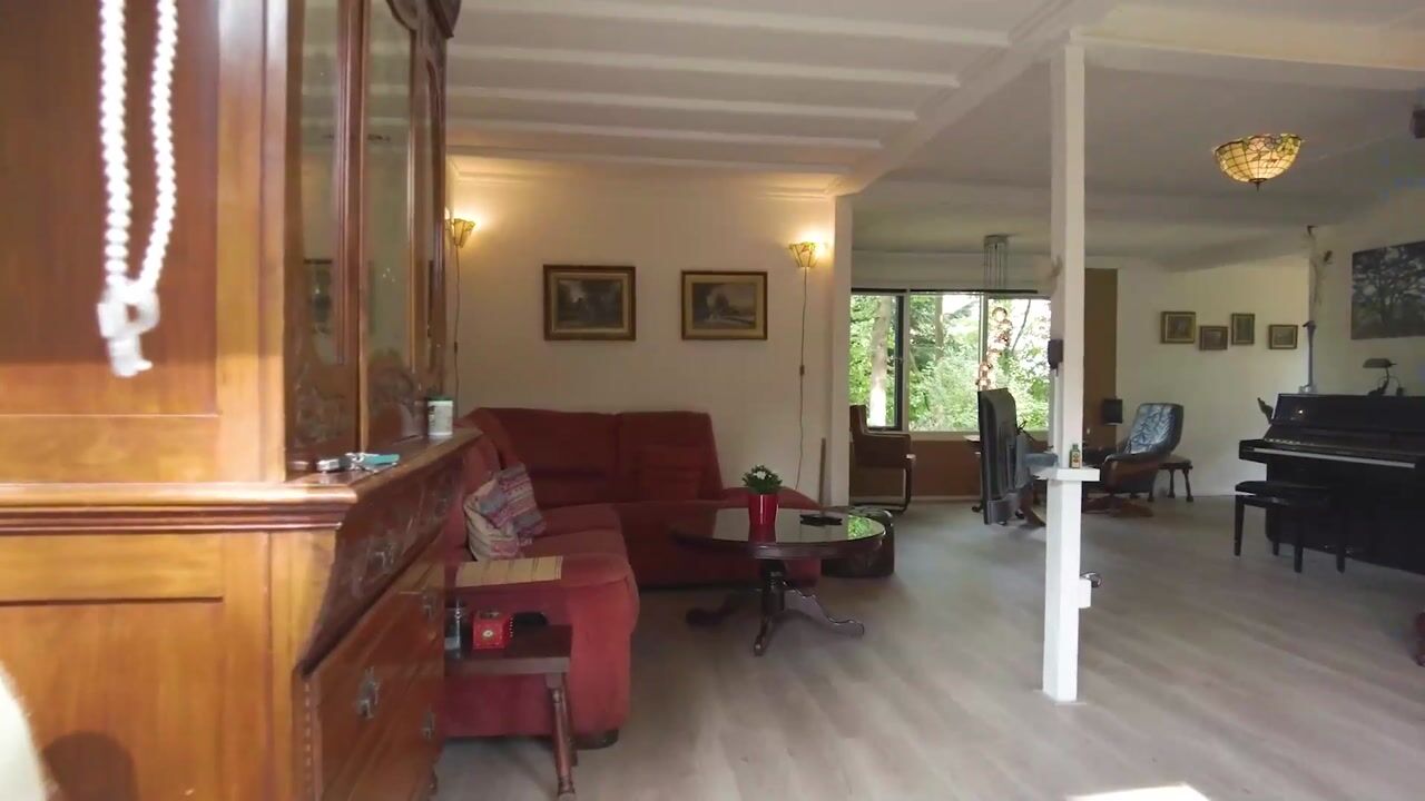 Video of Looërmark 38