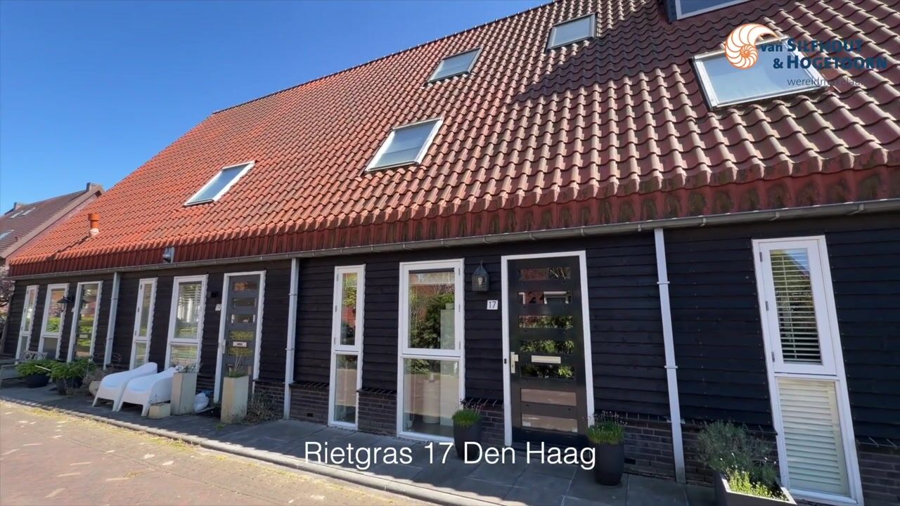 Video van Rietgras 17