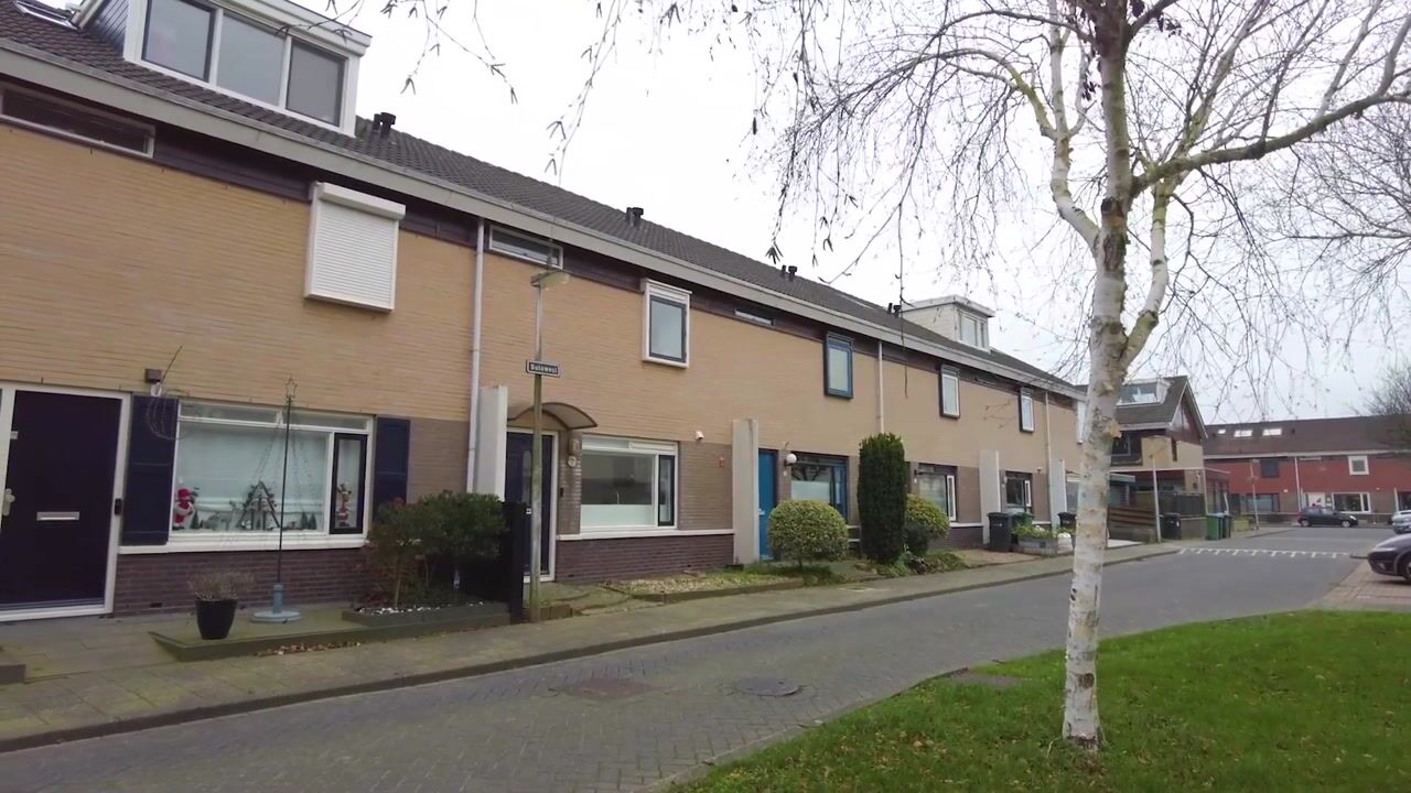 Video van Sulawesi 19