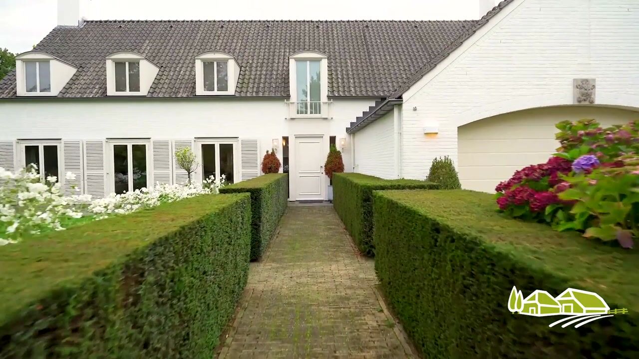 Video of Atalanta 47