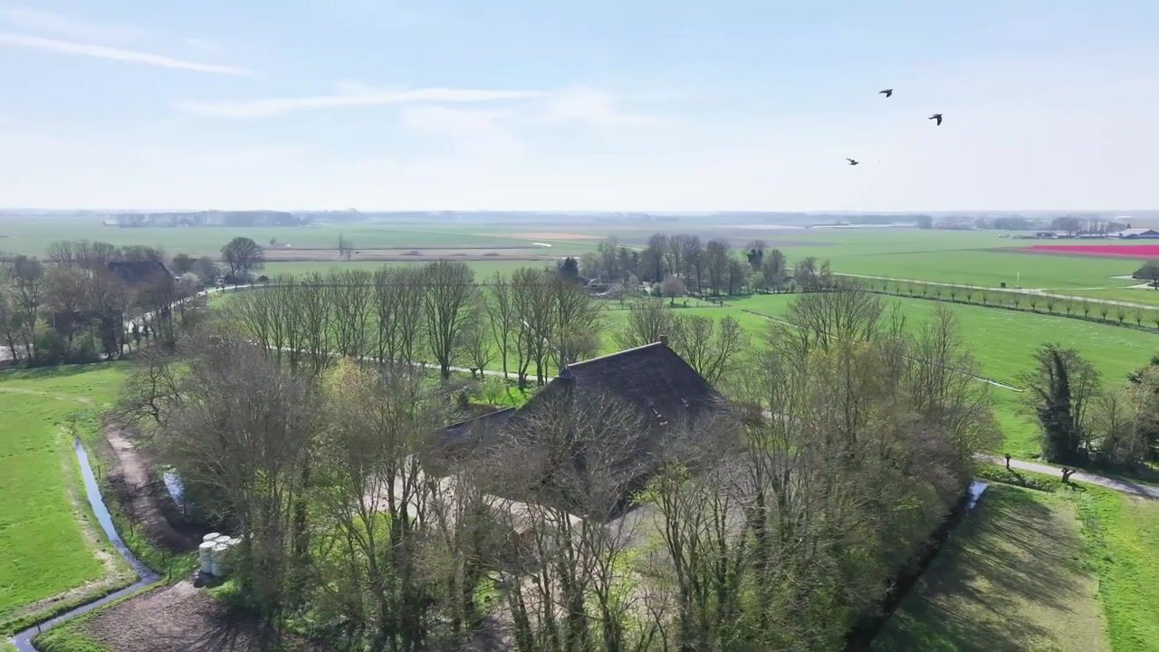 Video van Buurtsteeg 3