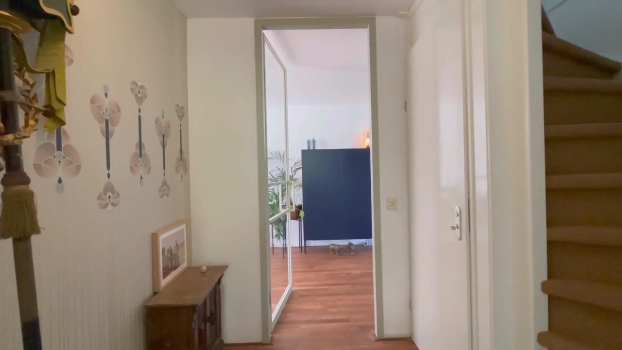 Video of Hoendiep Oostzijde 59