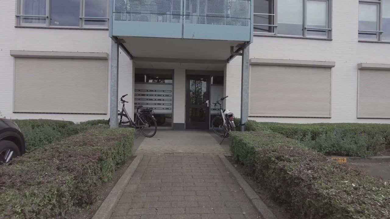 Video van Walstro 19