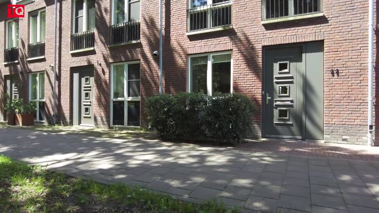 Video van Napoleonshoed 11