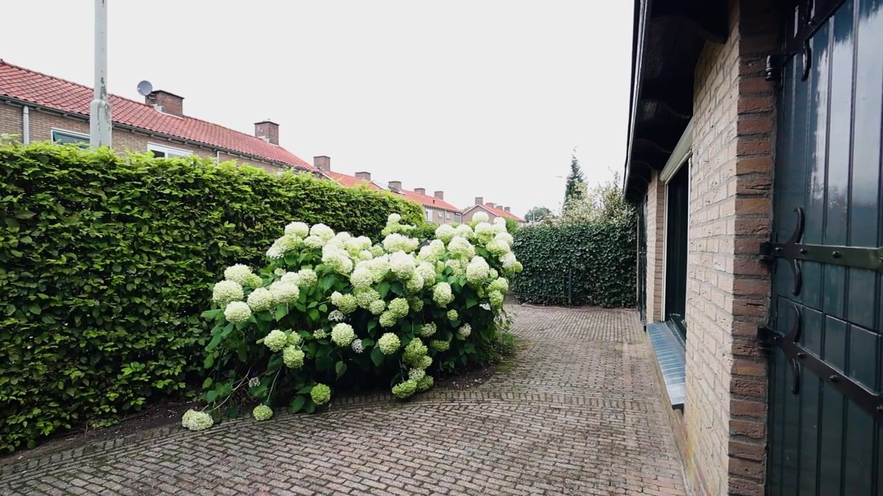 Video van Groenestraat 5