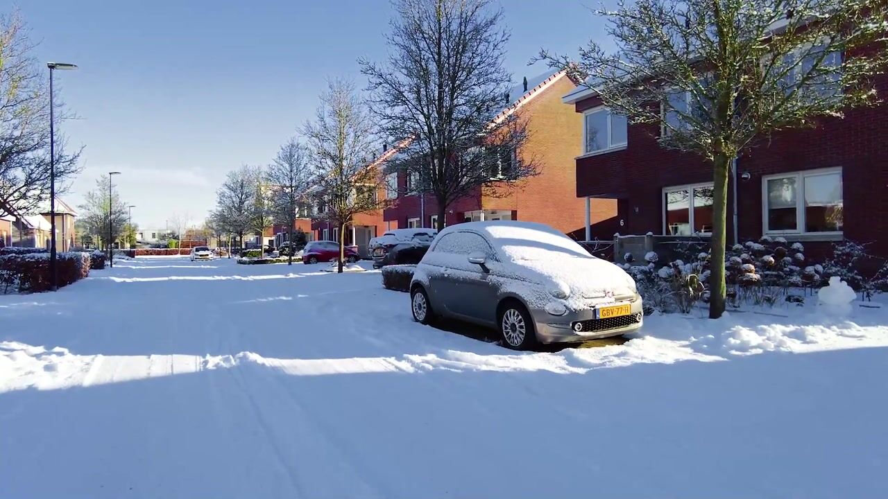 Video van Paardebloemstraat 6