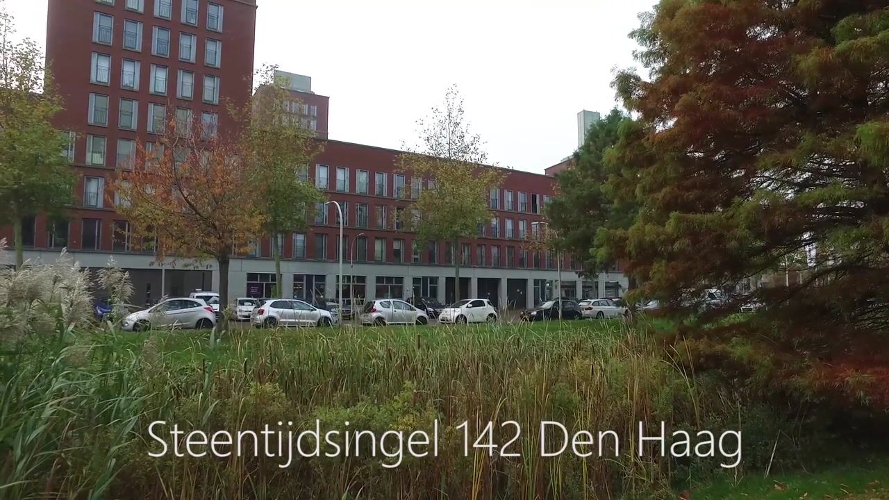Video of Steentijdsingel 142