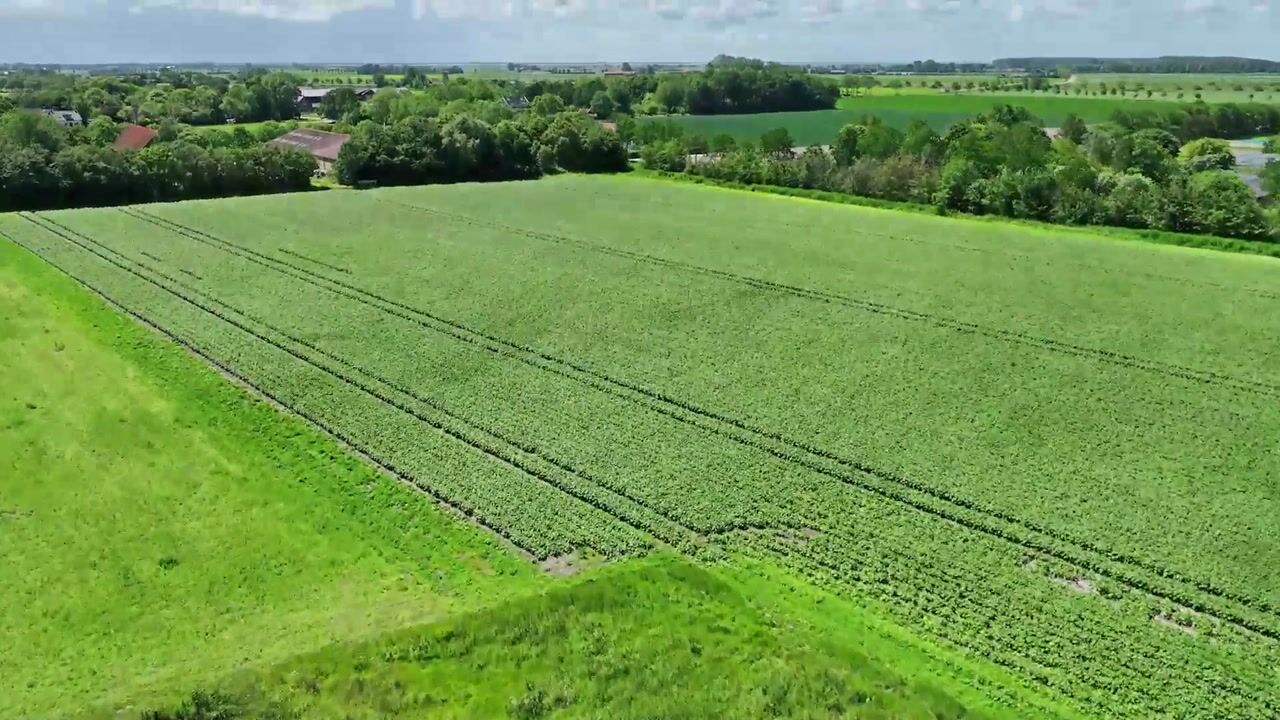 Video van Zuid Bosweg 4