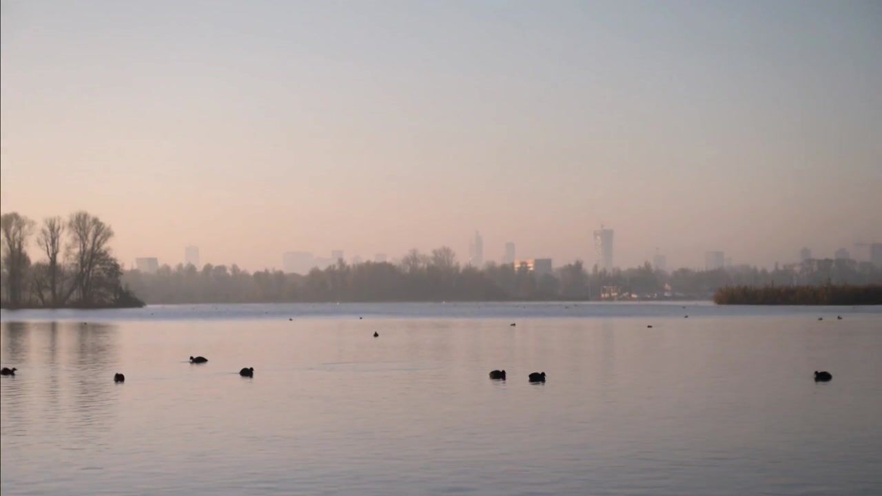 Video van Freericksplaats 77