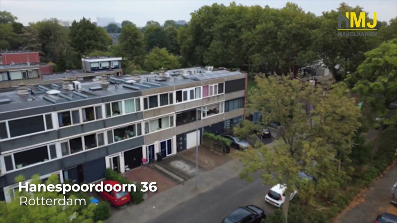 Video of Hanespoordoorn 36
