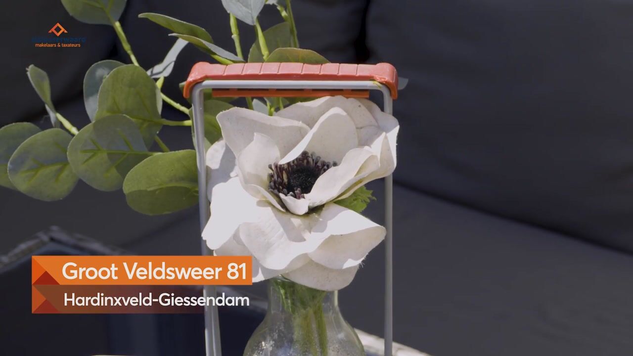Video of Groot Veldsweer 81