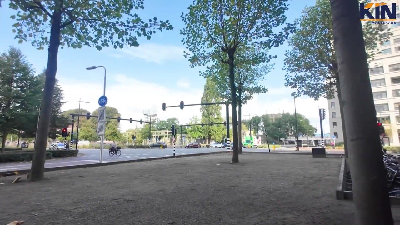 Video of Buxusplaats 143