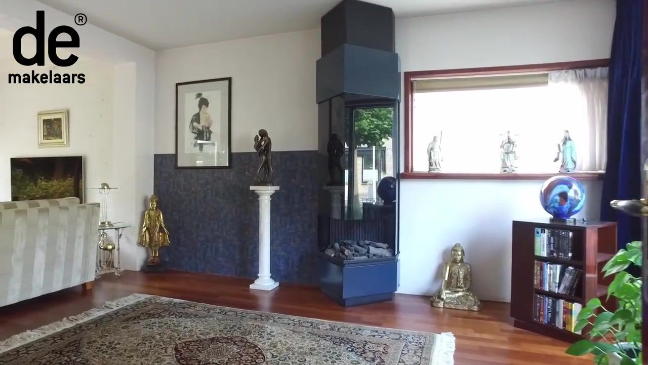 Video of Irenelaan 2