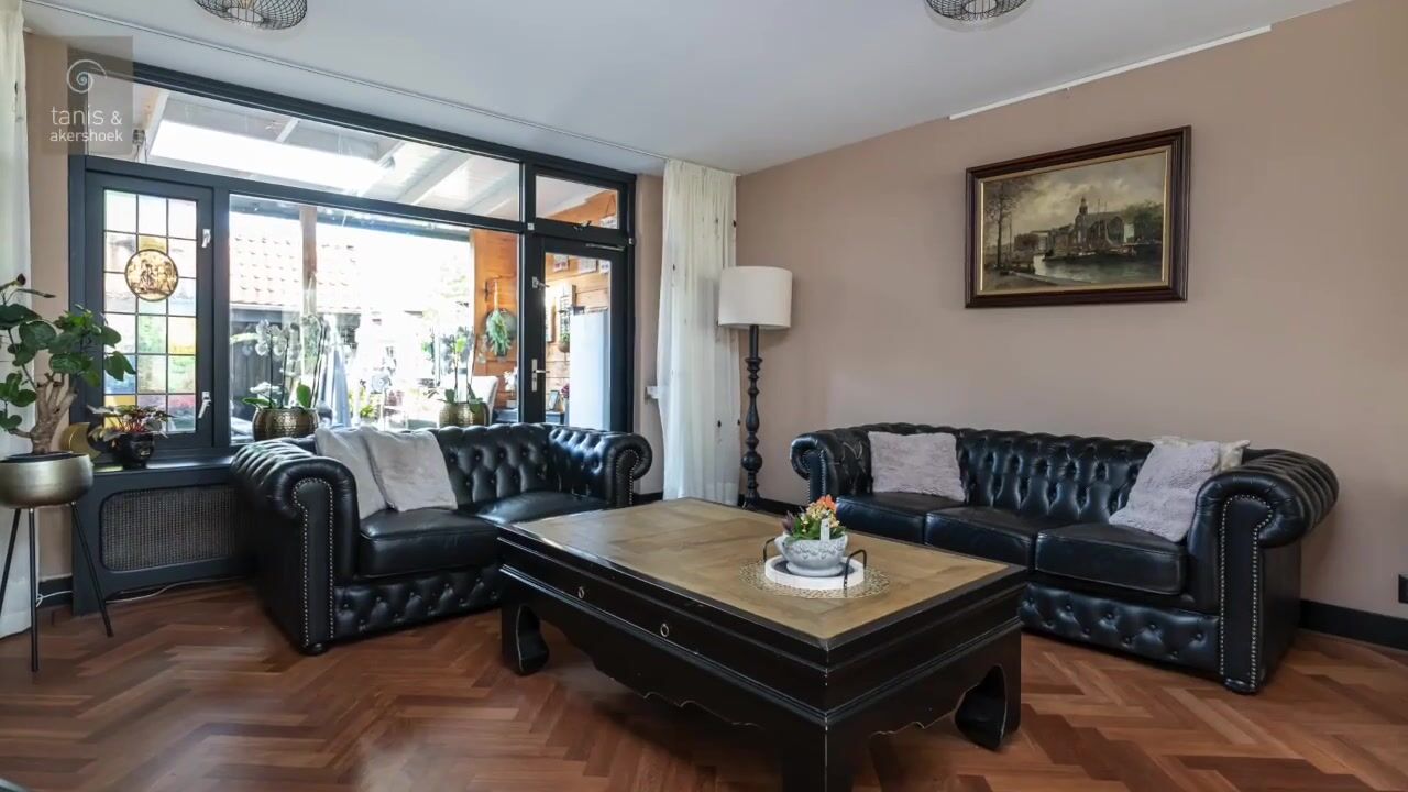 Video van de Windhond 12