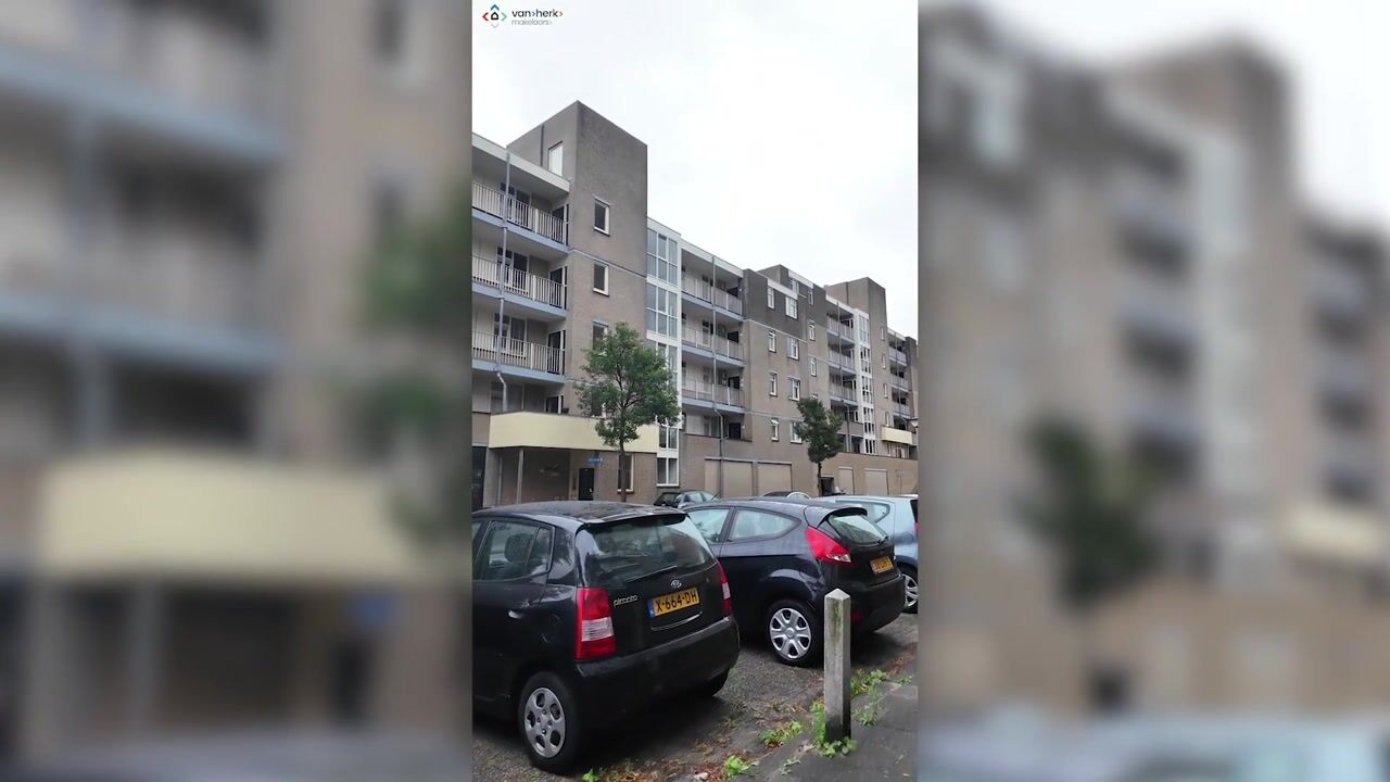 Video of Mari Andriessenrade 70