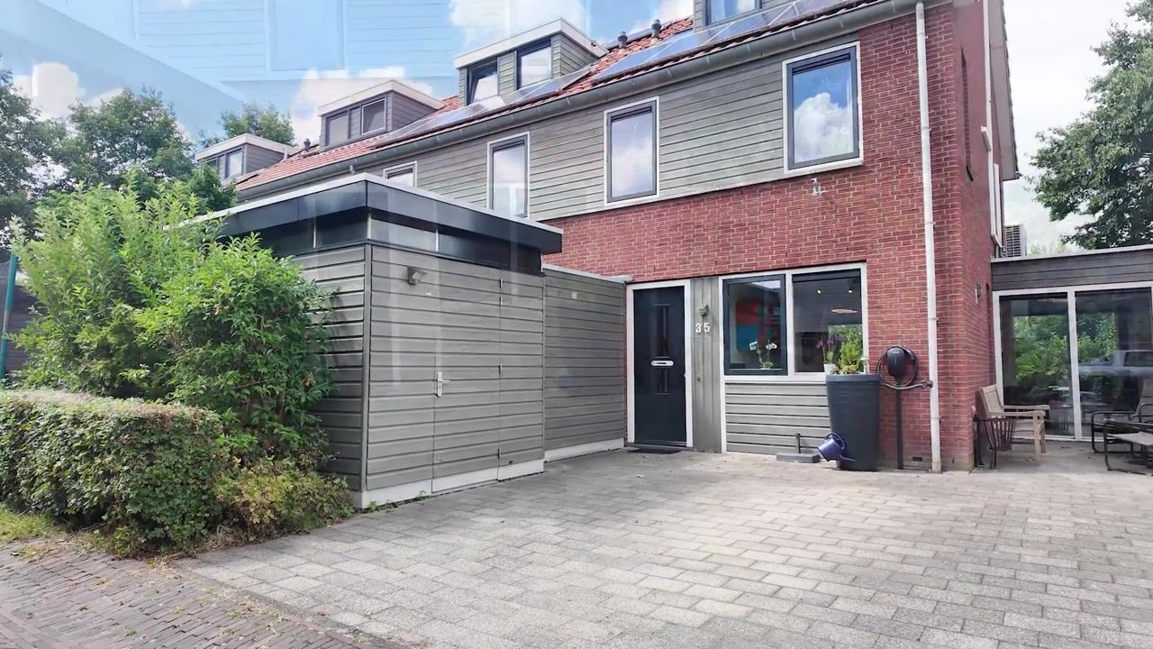 Video van Blauw Glidkruid 35