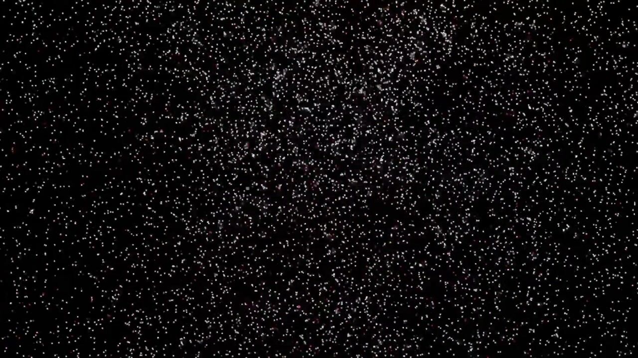 Video of Bokstraat 59