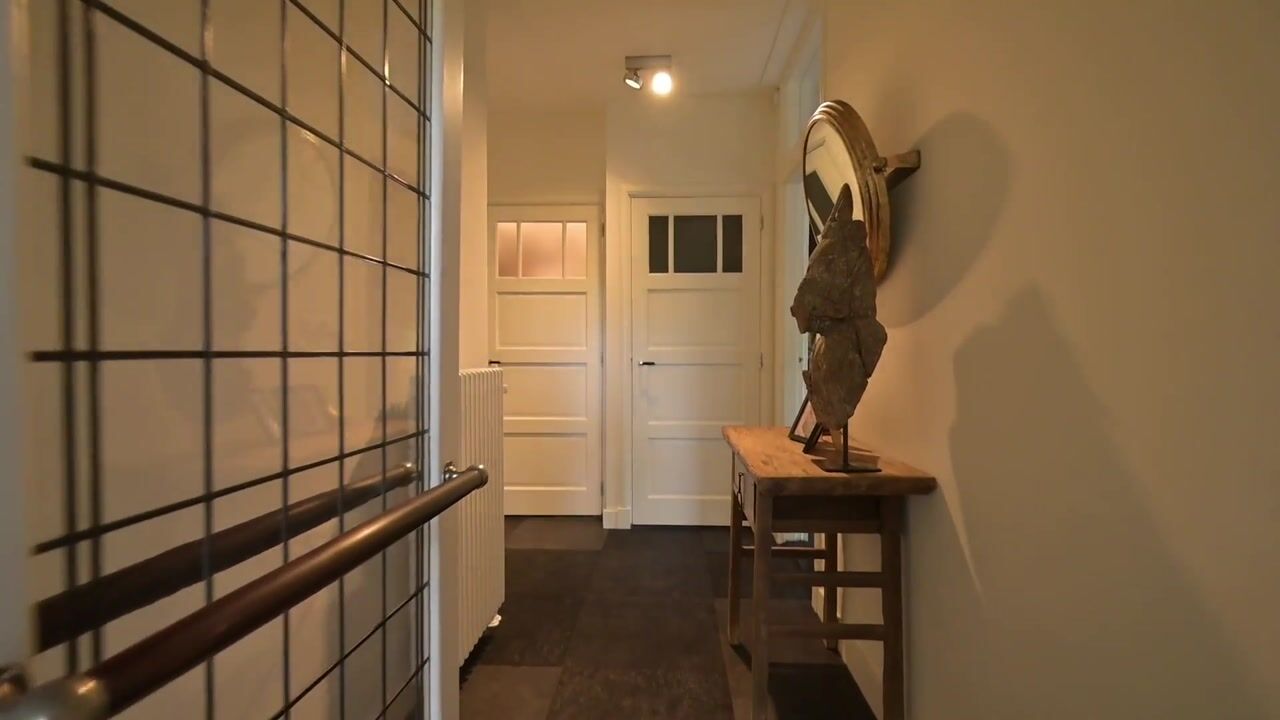 Video van Franklin Rooseveltlaan 47