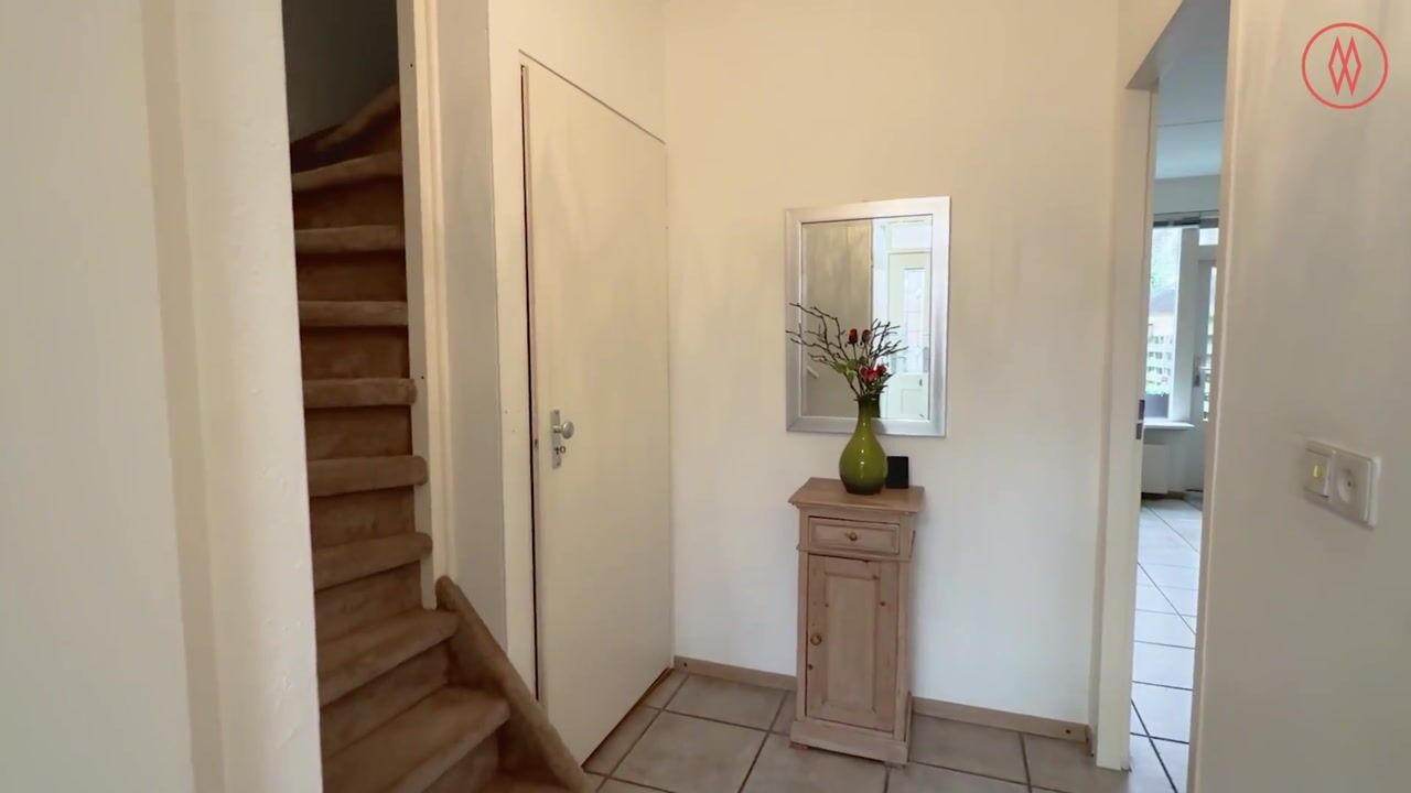 Video van Penningkruid 91