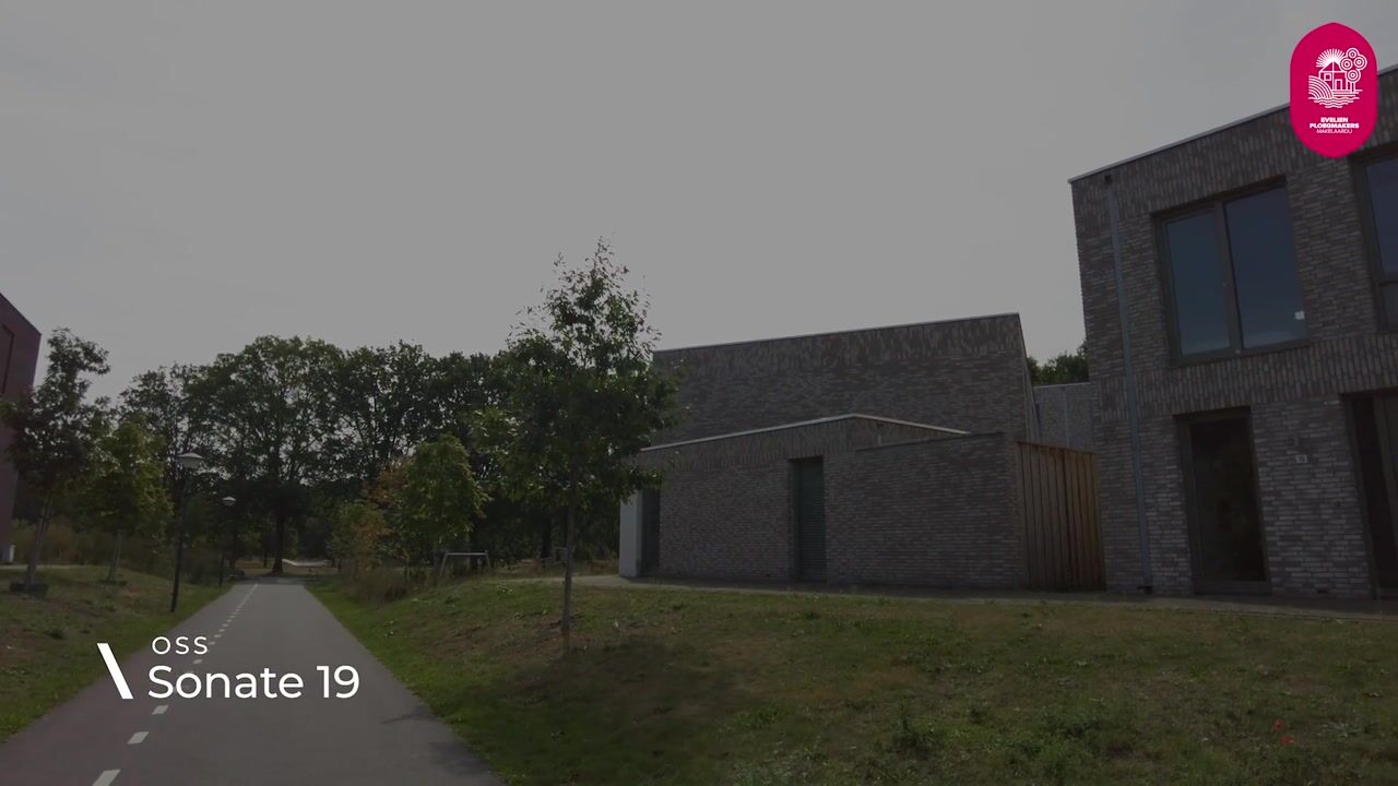 Video van Sonate 19