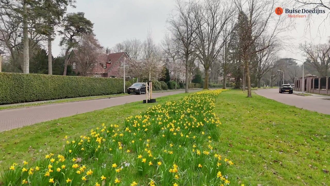 Video van Koninginneweg 10