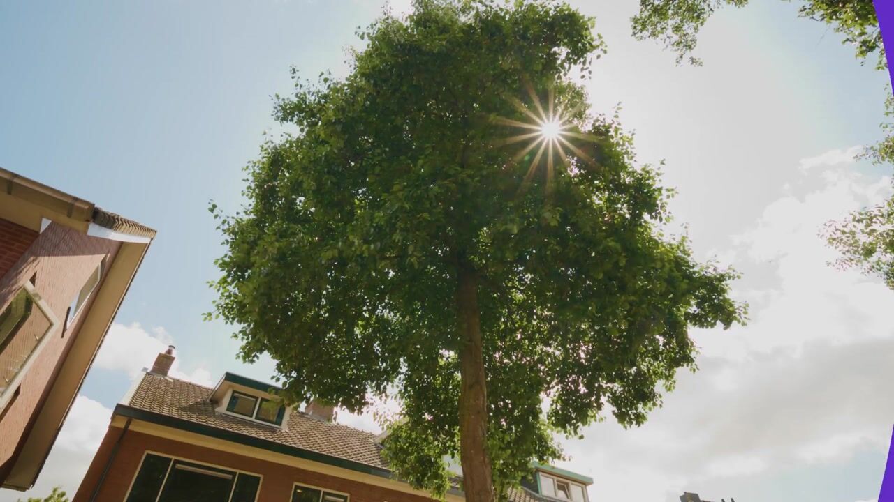 Video van Gieterijstraat 6