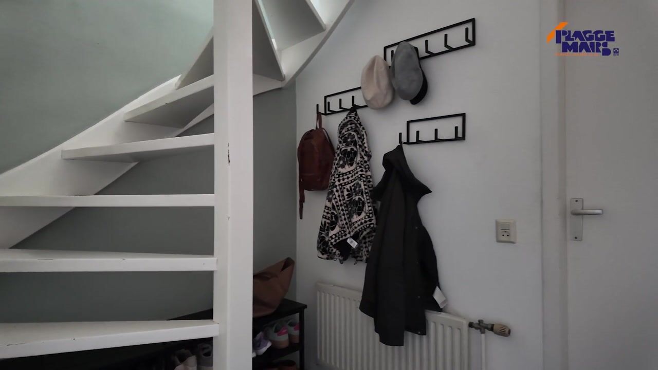 Video van De Havik 43