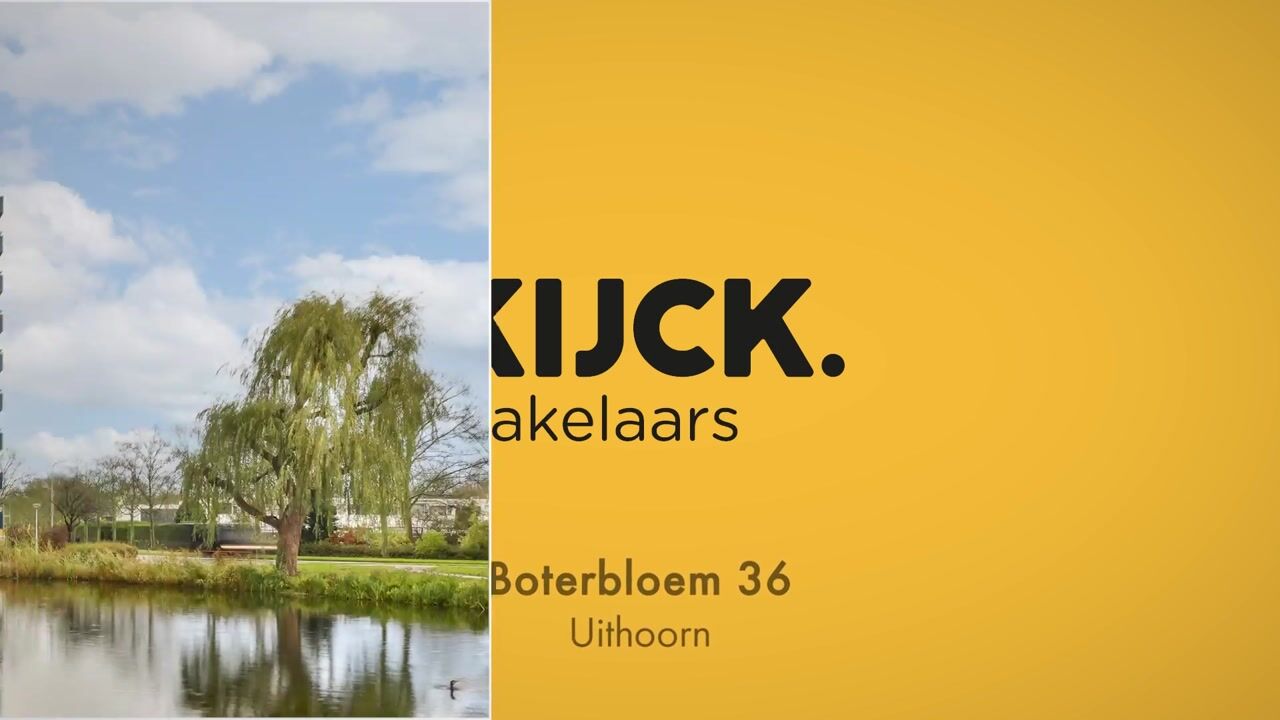 Bekijk video van Boterbloem 36