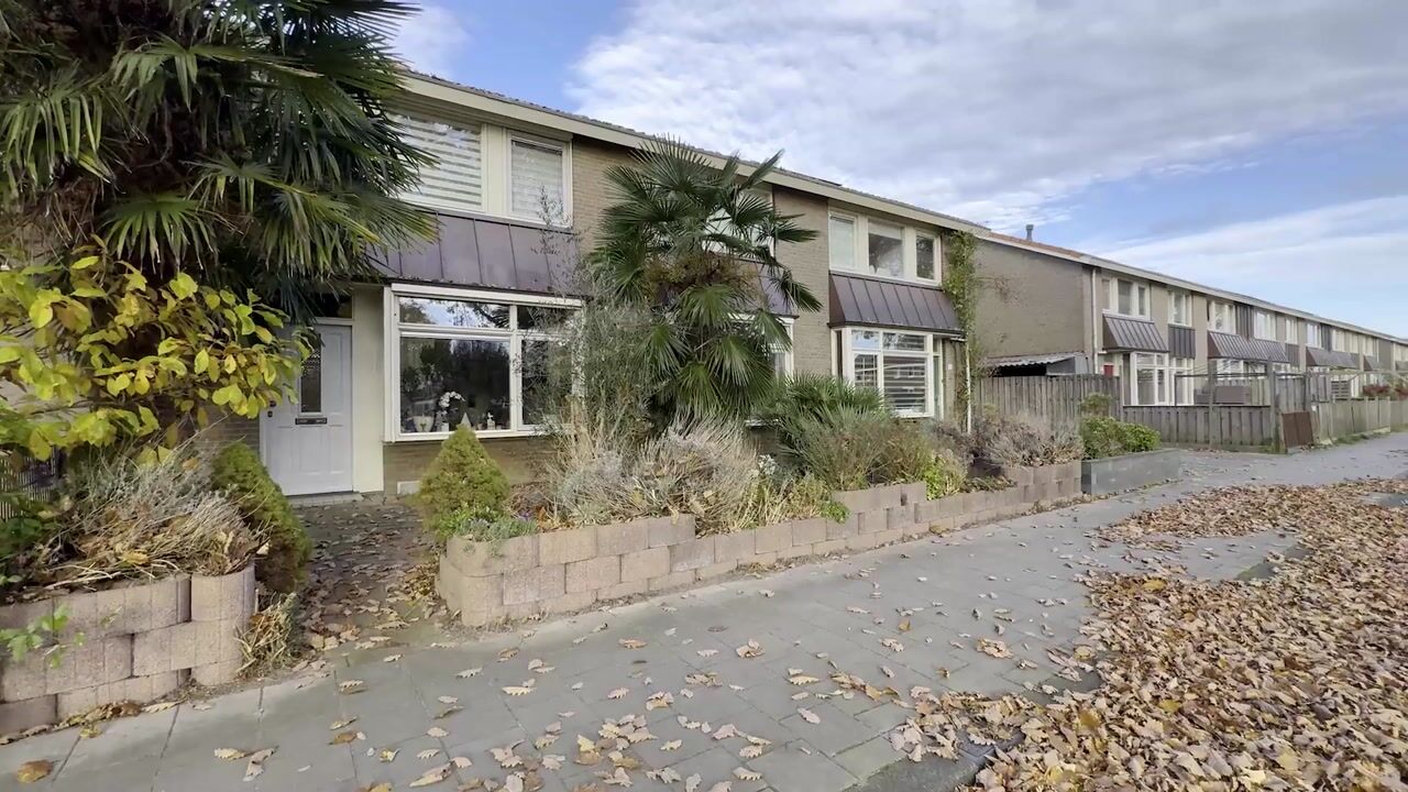 Video van Kampanje 17