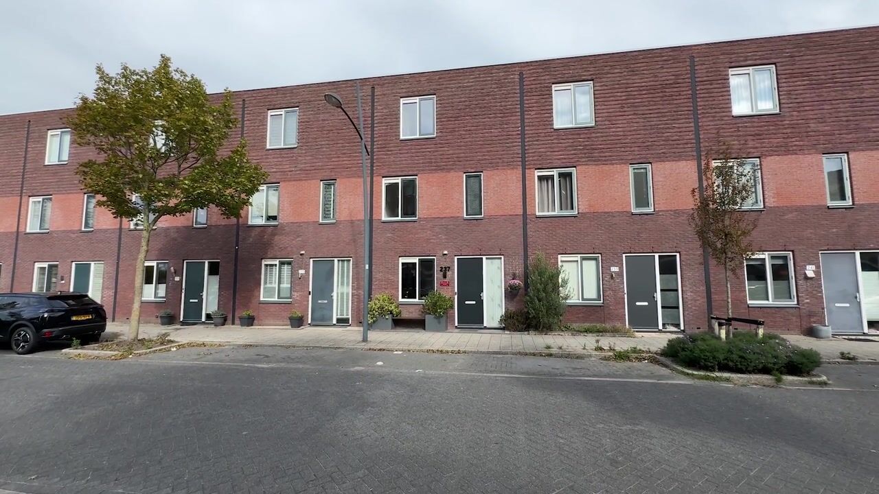 Video of Gele Ring 237