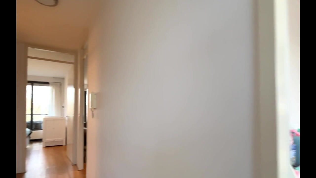 Video van Erich Salomonstraat 603