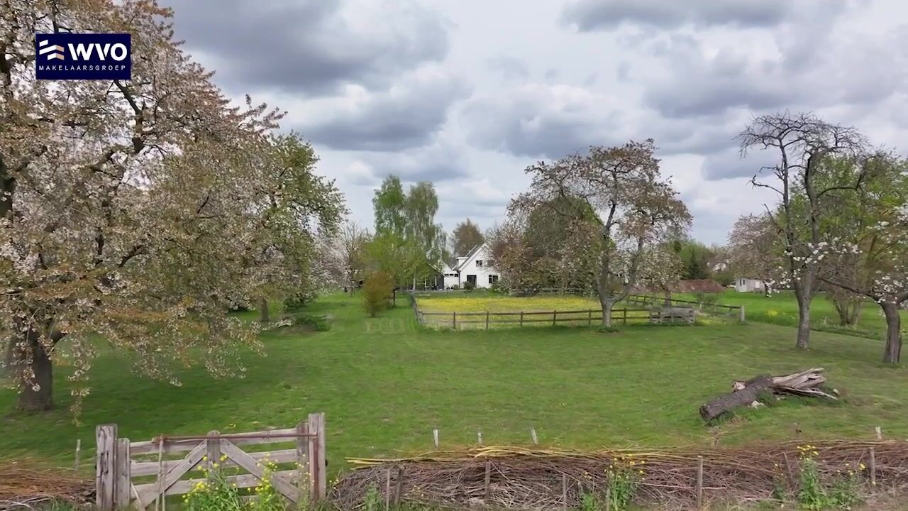 Video van Ganzert 30