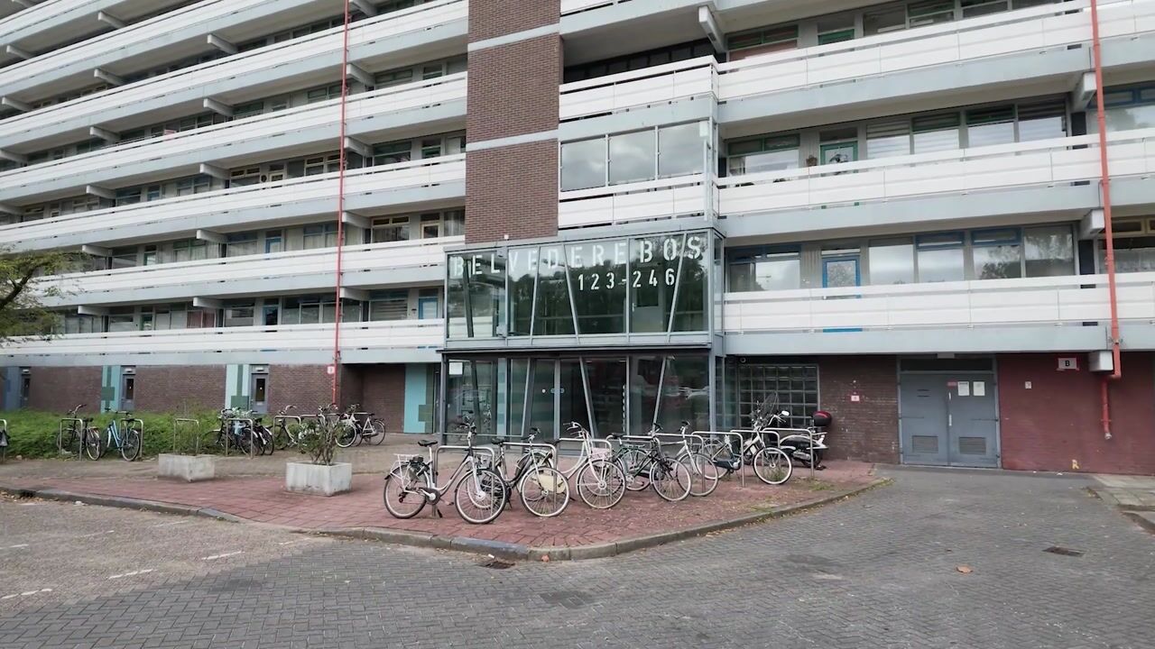 Video van Belvédèrebos 218