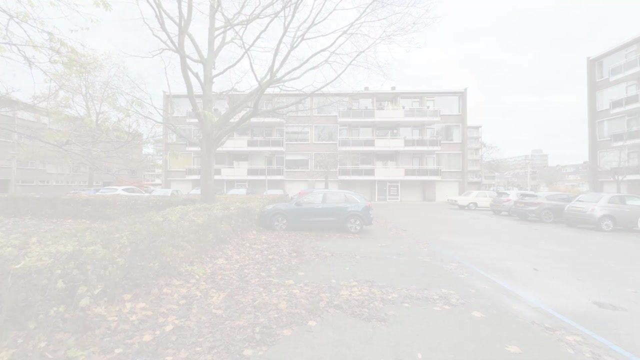 Video van Julianaplantsoen 101