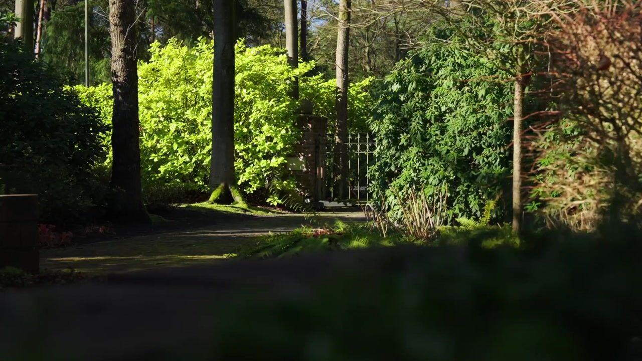 Video van Soestdijkseweg Noord 422