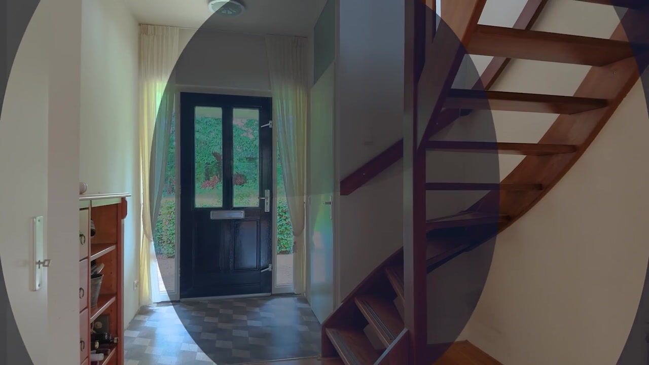 Video van Luzernevlinder 147