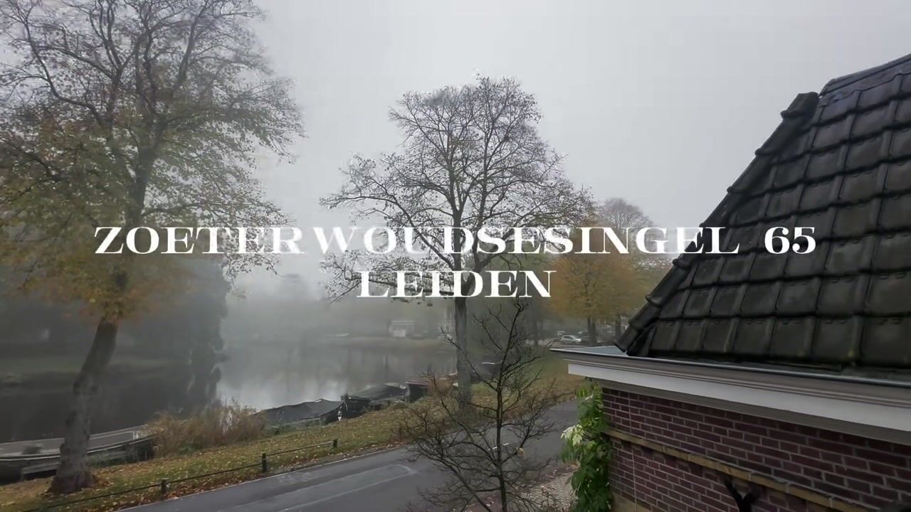 Bekijk video van Zoeterwoudsesingel 65