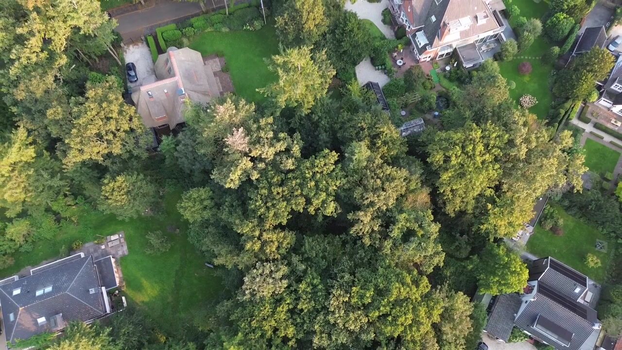 Video of Wikkelaan